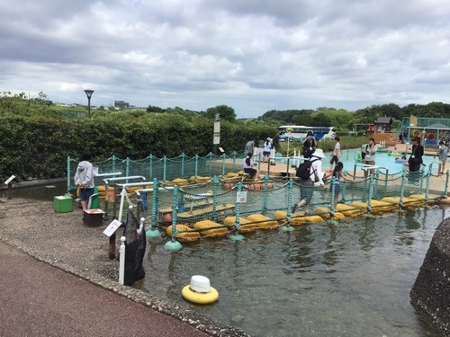 かわはく2