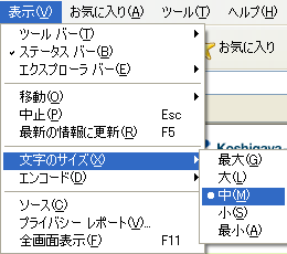 [InternetExplorer6での文字拡大方法図]